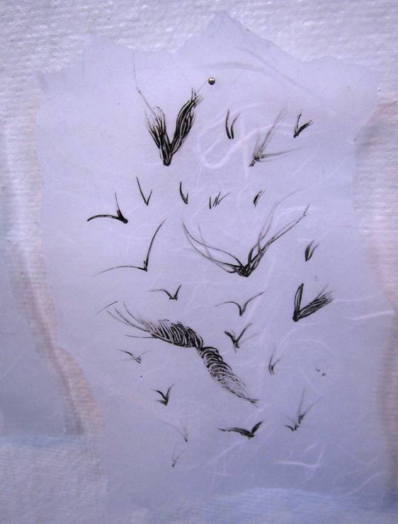 Susan's exquisite drawing on rice paper. She makes one a day after walking and observing.